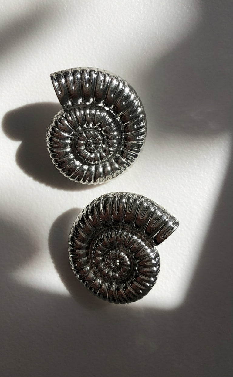 Orecchini Shell Spiral in acciaio