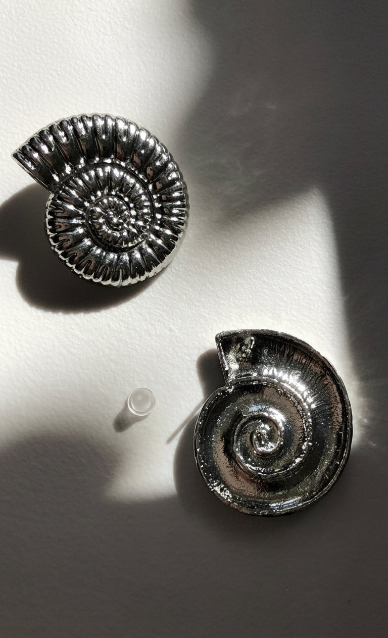 Orecchini Shell Spiral in acciaio